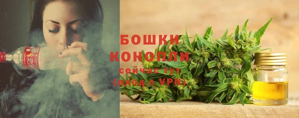 дмт Володарск