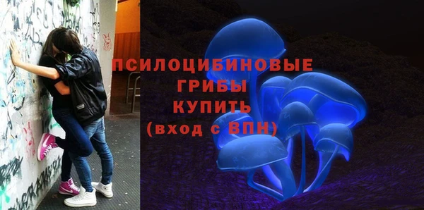 спиды Волоколамск
