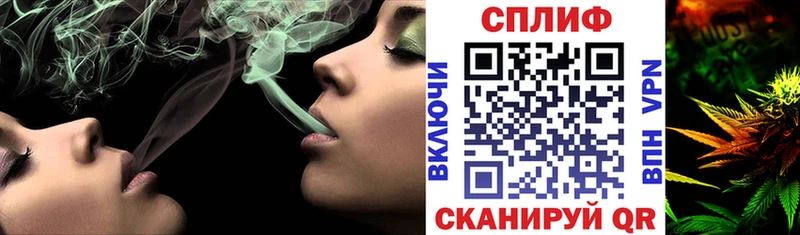 как найти наркотики  omg онион  Шишки марихуана THC 21%  Отрадное 
